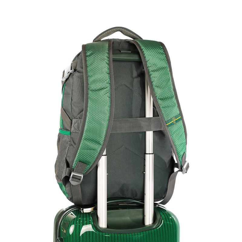 moch-2-comp-porta-tenis-palmeiras-y01-verde-e-cinza-sestini-076107-06-detalhe7