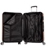 mala-m-360-track-28-champagne-sestini-041088-21-dentro