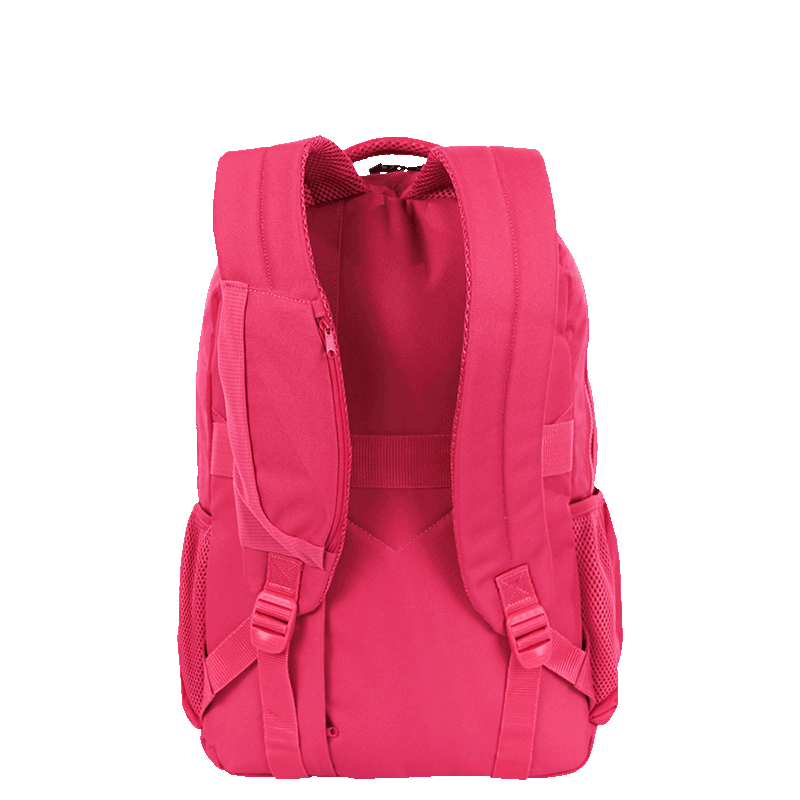 mochila-2-compartimentos-college-crinkle-3-pink-sestini-076051-08-costas.png